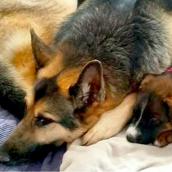 Meet your Posher, Shannon - Picture 10 of 17